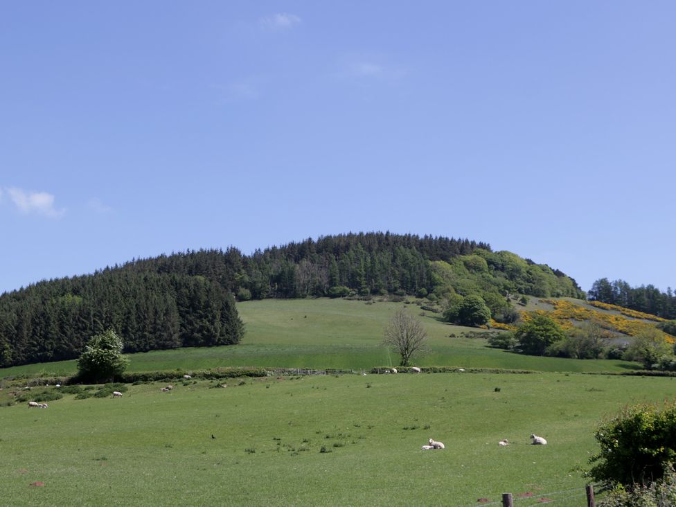 Cefn Campstone - South Wales - 1165347 - thumbnail photo 68