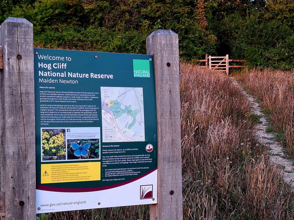 An information sign for Hog Cliff National Nature Reserve in Maiden Newton
