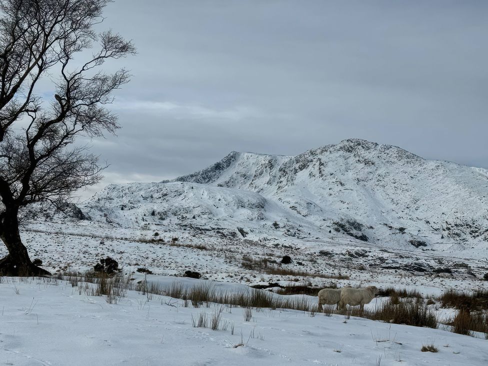 A scenic view of mountains and sheep in snow at Ty Siabod in Capel Curig near Betws-Y-Coed