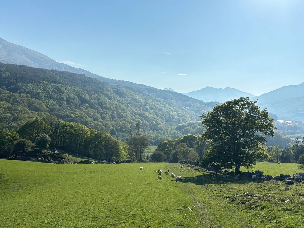 A landscape with mountains, grass, trees, and sheep at Ty Llewelyn in Capel Curig near Betws-Y-Coed