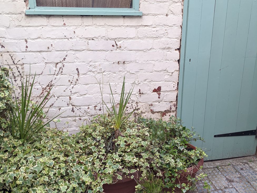An outdoor area with plants beside a brick wall and a door at 174 High Street Marske-By-The-Sea