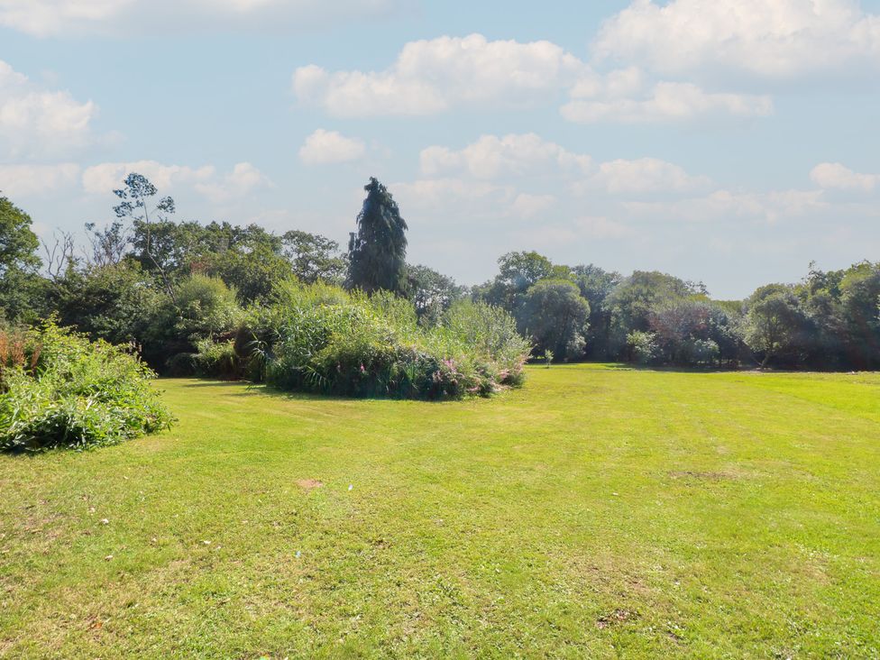 A garden with grass and plants at Delfryn Llandeilo near Llandeilo