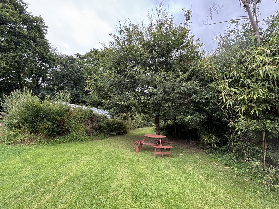 A garden with a picnic table and trees at Delfryn Llandeilo near Llandeilo