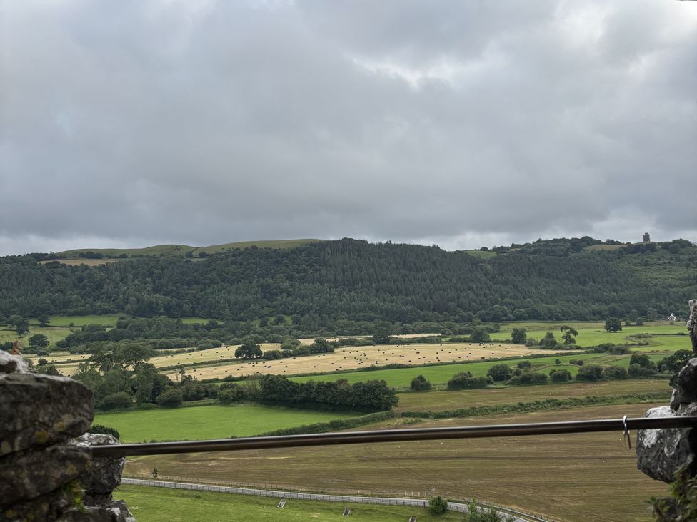 A landscape view of fields and trees near a mountain range at Delfryn Llandeilo near Llandeilo
