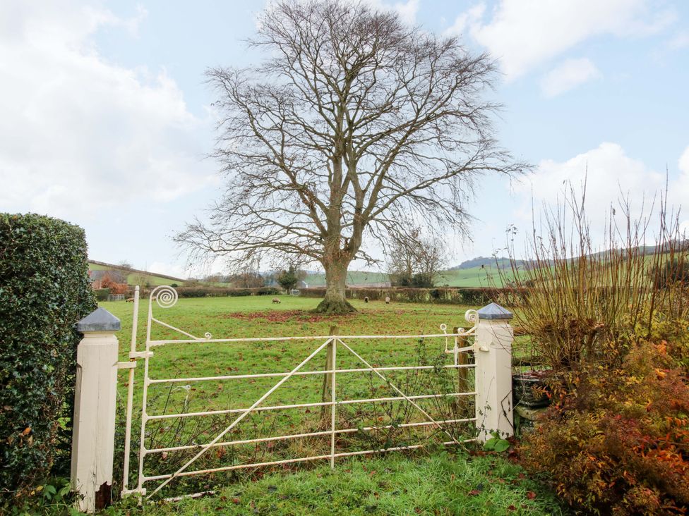 The Old Rectory Cottage - Mid Wales - 1165470 - thumbnail photo 36