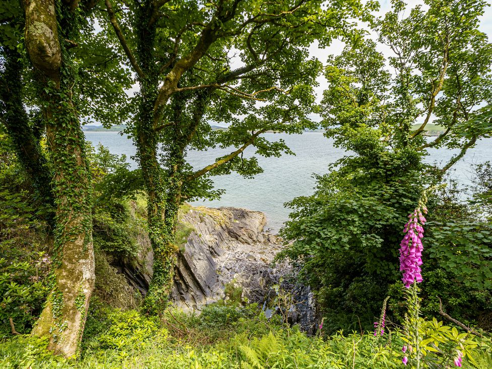 Balcary Tower - Scottish Lowlands - 1165487 - thumbnail photo 78