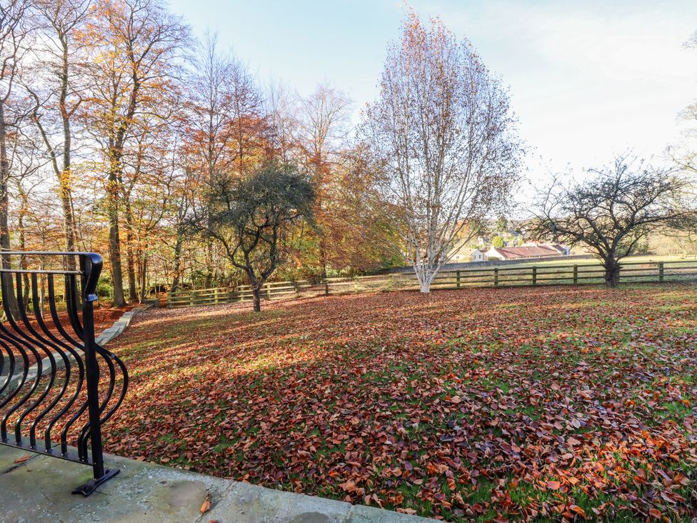 Sandy Gates - Yorkshire Dales - 1165489 - thumbnail photo 41