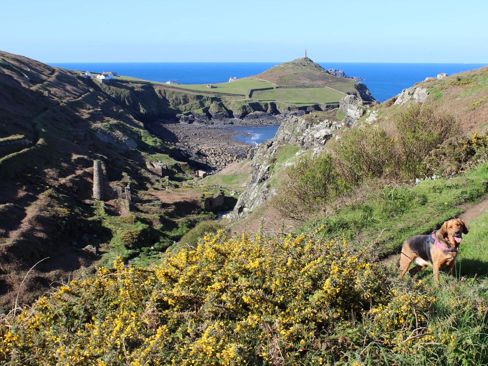 The Stables - Cornwall - 1165502 - thumbnail photo 34