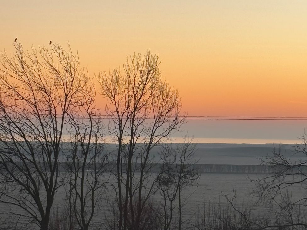 A view of trees and birds at sunset at St Edmunds Church in Fraisthorpe