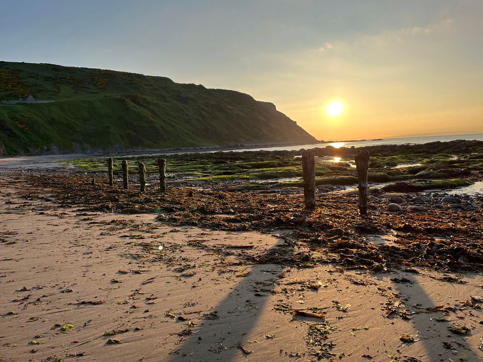 Lobster Pot -  - 1165595 - thumbnail photo 38