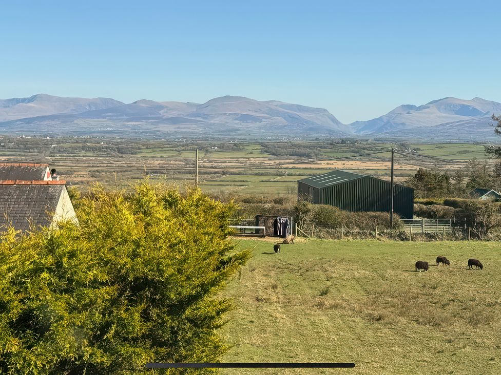 A view of fields with sheep and mountains at 15 Llys Tegeirian Llangristiolus near Llangefni