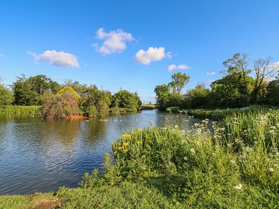 A scenic view of a river surrounded by greenery at West Stable Grove near Retford