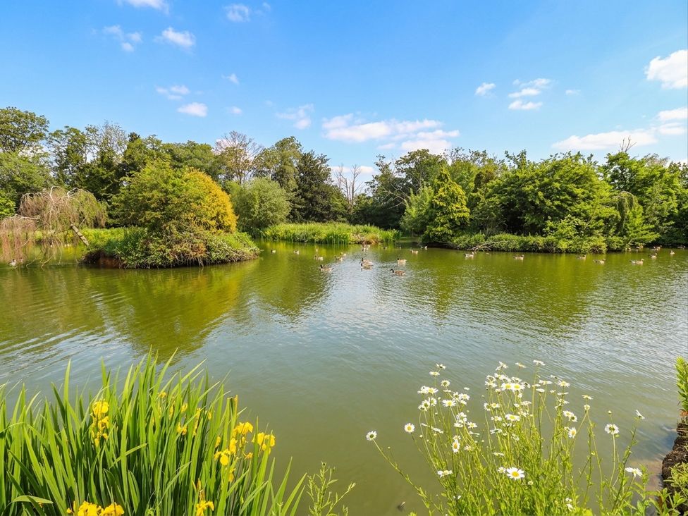 A pond surrounded by trees and flowers at West Stable in Grove near Retford
