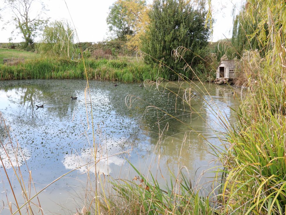 A pond with ducks and a shed at Lillie's Shepherds Hut at Shepherds Lodge Retreat and Wellness Bottesford near Redmile and Vale of Belvoir