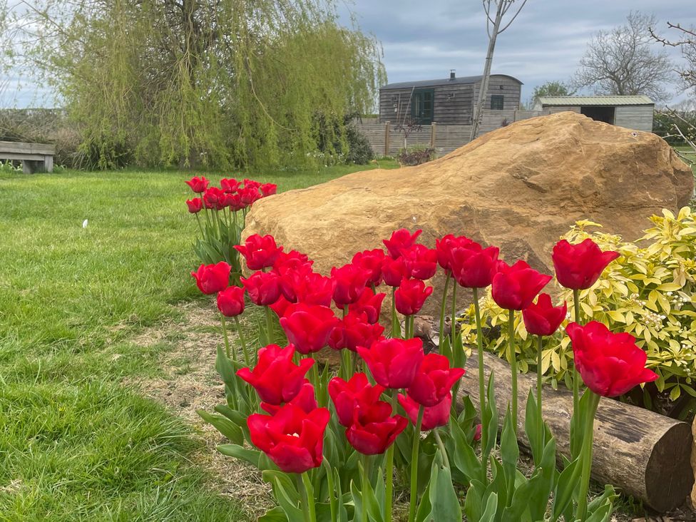 A garden with red tulips and a rock at Lillie's Shepherds Hut at Shepherds Lodge Retreat and Wellness Bottesford near Redmile and Vale of Belvoir