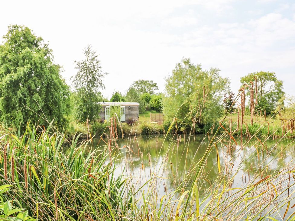 Herbie's Shepherds Hut -  - 1165648 - thumbnail photo 21