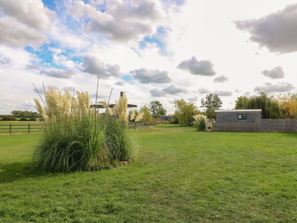 An outdoor area with grass and pampas grass at Herbie's Shepherds Hut at Shepherds Lodge Retreat and Wellness Bottesford near Redmile and Vale of Belvoir