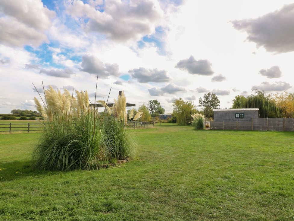 A garden with grass and pampas grass at Poppie's Shepherds Hut at Shepherds Lodge Retreat and Wellness Bottesford near Redmile and Vale of Belvoir