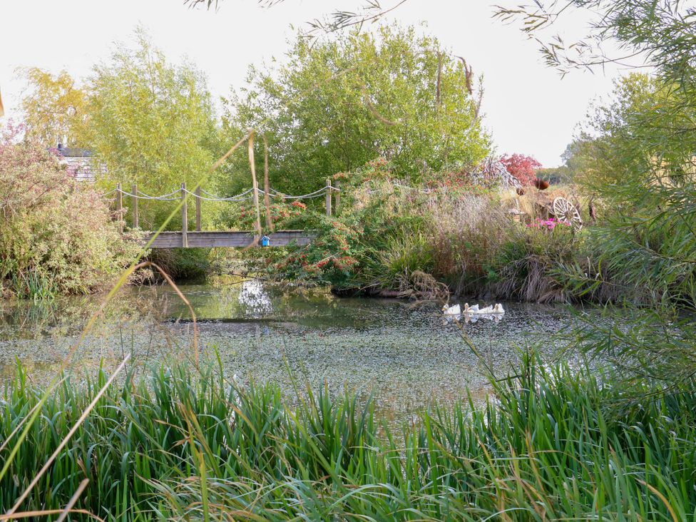 A bridge over water with ducks and trees at Poppie's Shepherds Hut at Shepherds Lodge Retreat and Wellness Bottesford near Redmile and Vale of Belvoir