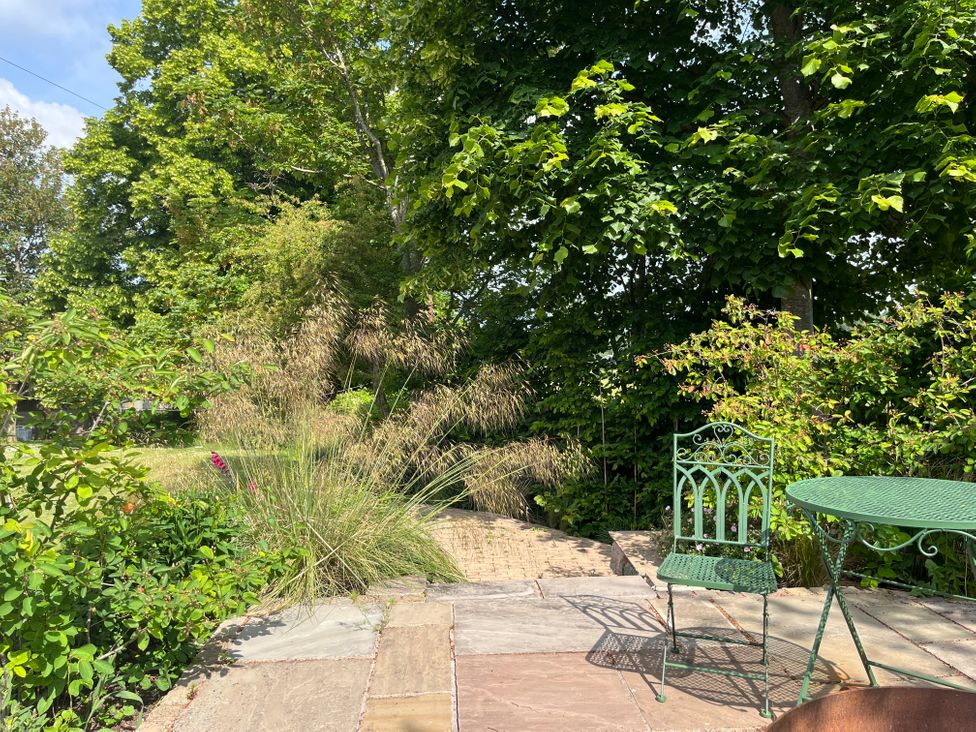 An outdoor patio with a metal chair and table surrounded by plants and trees at The Gables in Spaxton near Nether Stowey