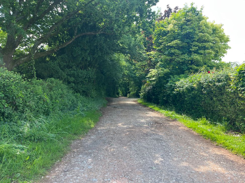 A gravel path surrounded by green trees and bushes at The Gables in Spaxton near Nether Stowey