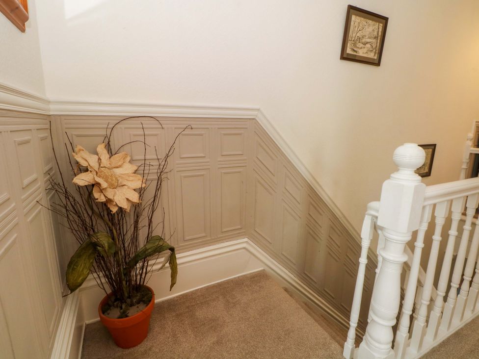 A staircase with wall paneling and a decorative plant at 163 Manchester Road in Accrington