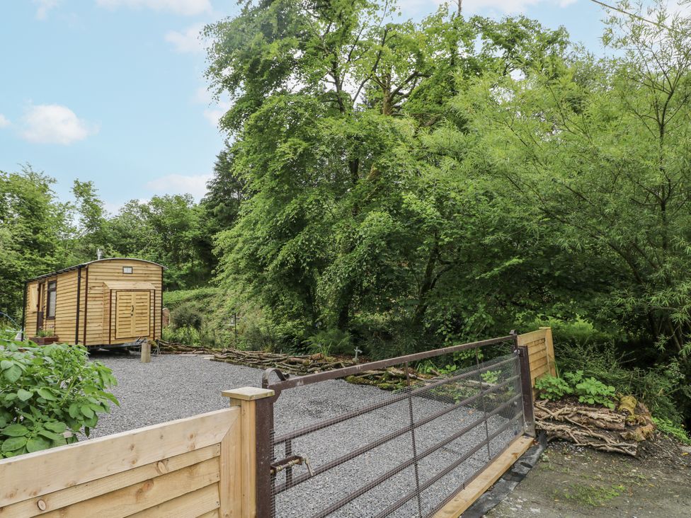 An outdoor area with a wooden cabin and trees at The Hamper in Felingwm near Carmarthen