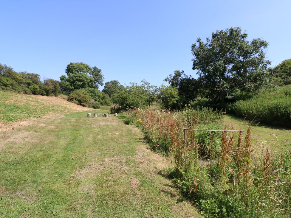 A grassy area with trees and a pathway at Finnbars Lodge in Richmond