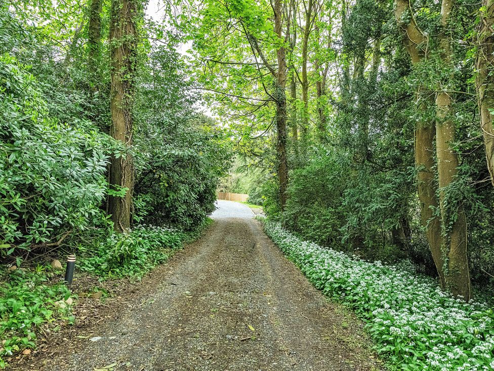 A gravel path surrounded by trees and wild garlic at Snowdonia Manor in Dolgellau