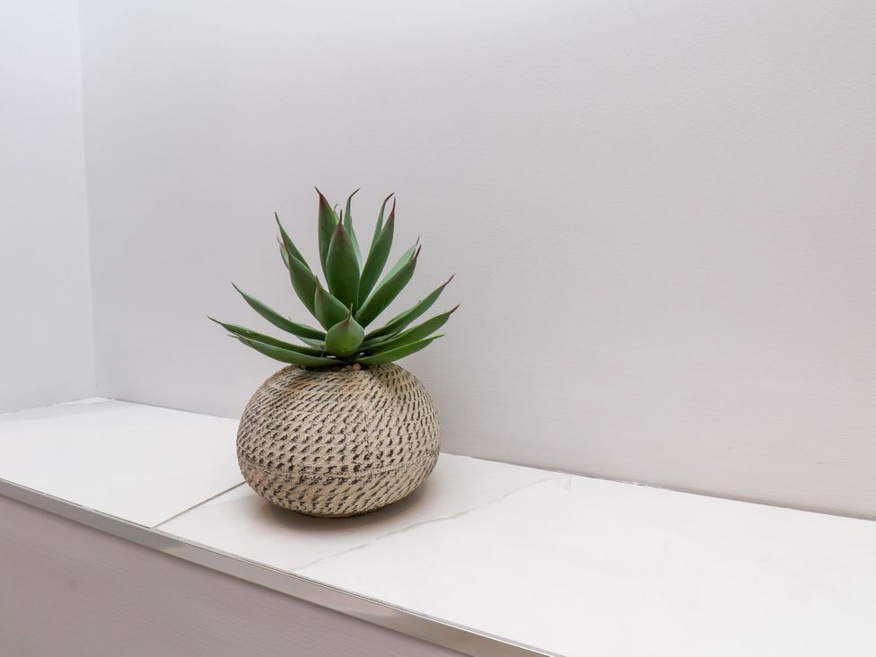 A plant in a pot on a shelf in a modern indoor setting at Plot Four - Italian Terraced Garden Harpham near Nafferton