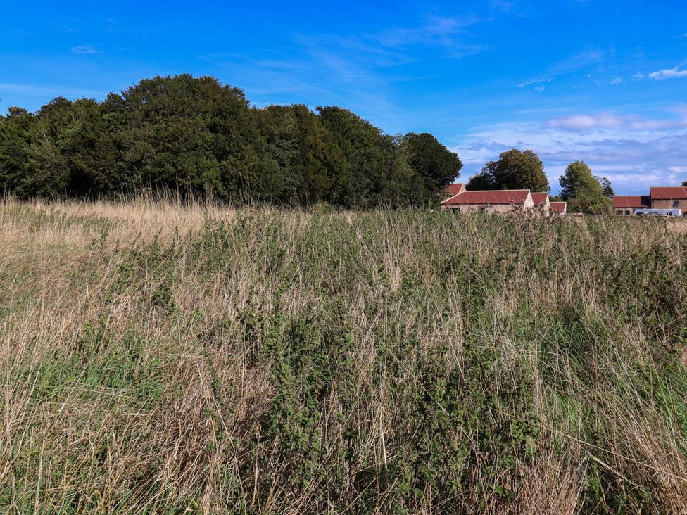 A field with grass and trees with a building in the background at Harpham Manor House in Nafferton