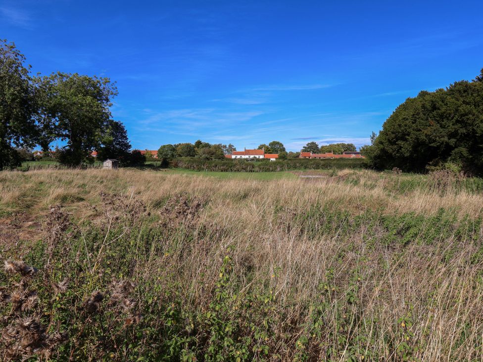 A field with grass and trees near houses at Harpham Manor House in Nafferton