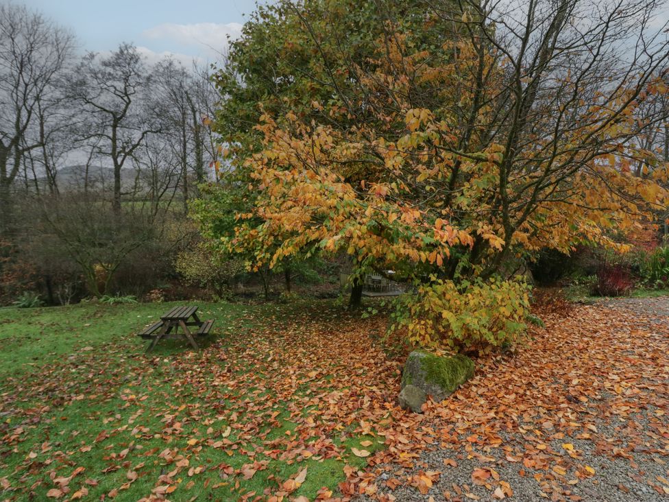 Lily - Lake District - 1166178 - thumbnail photo 21