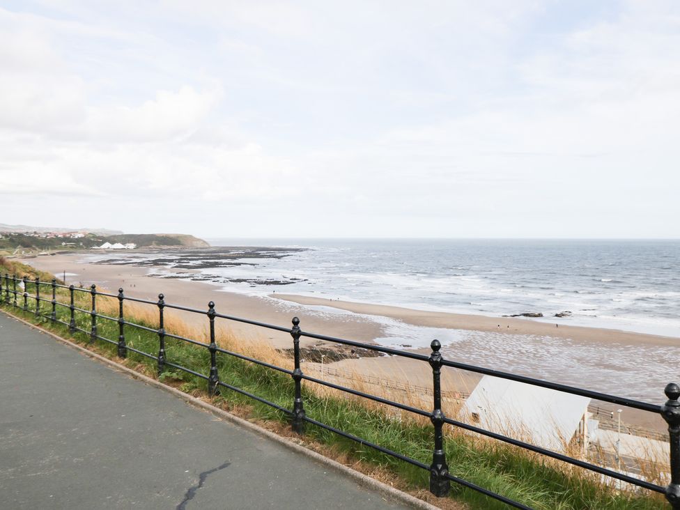 Kittiwake - North Yorkshire (incl. Whitby) - 1166269 - thumbnail photo 13