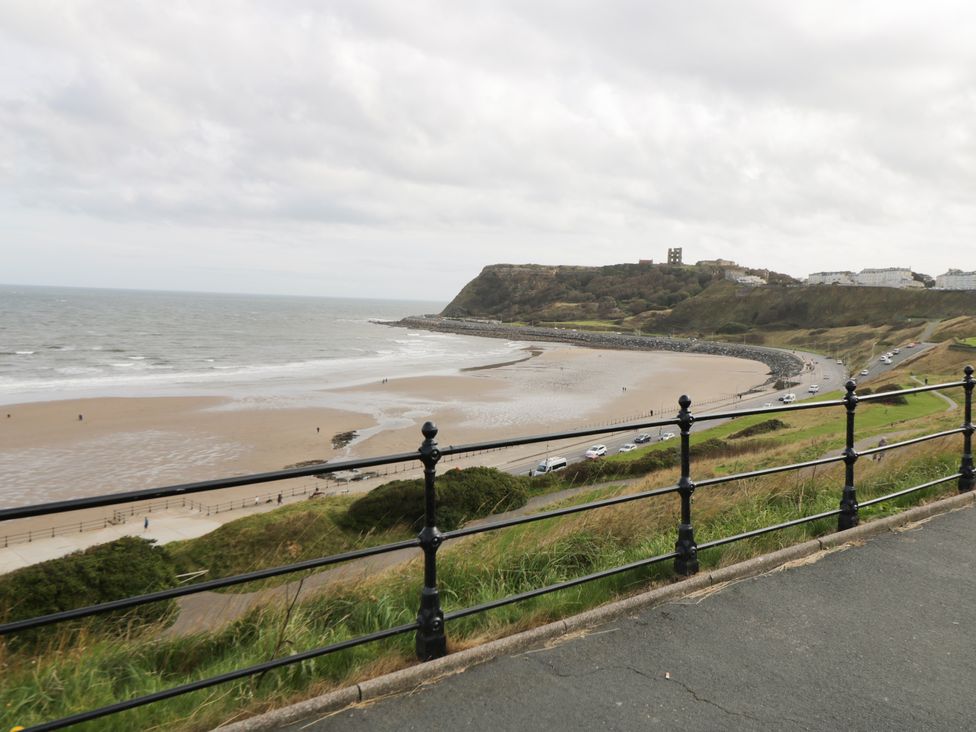 Kittiwake - North Yorkshire (incl. Whitby) - 1166269 - thumbnail photo 14