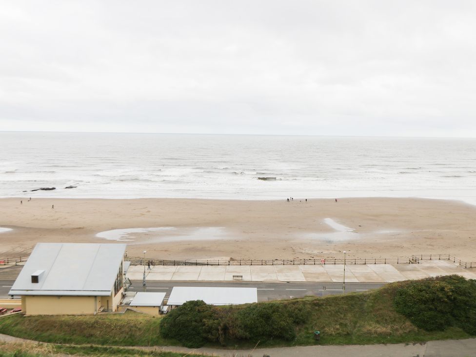 Kittiwake - North Yorkshire (incl. Whitby) - 1166269 - thumbnail photo 15