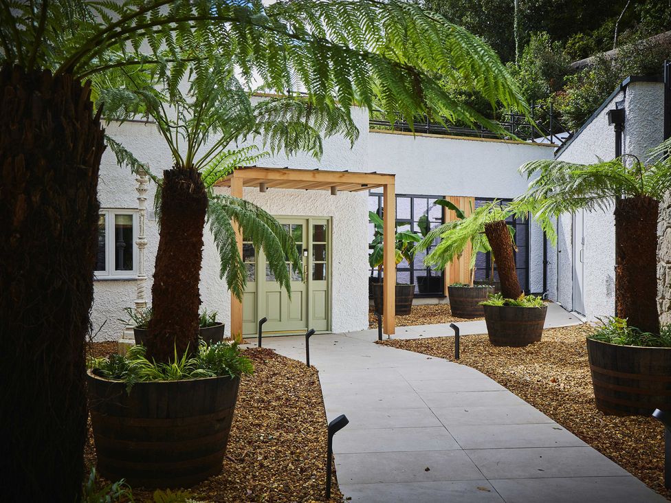 An outdoor area with plants and a pathway at Craig y Don in Glyngarth near Llandegfan
