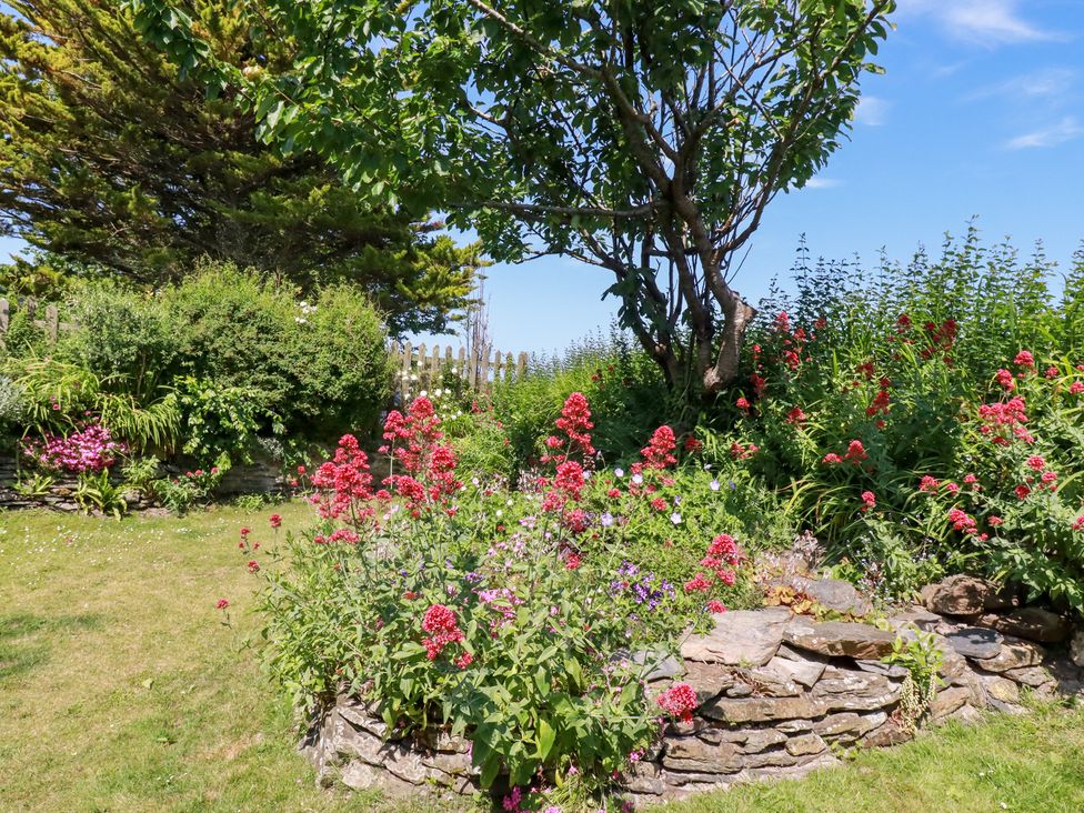 A garden with flowers and a tree at Bramble Cottage in Gwithian near Connor Downs