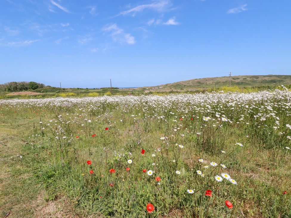 A field of wildflowers with grass and blue sky at Bramble Cottage in Gwithian near Connor Downs