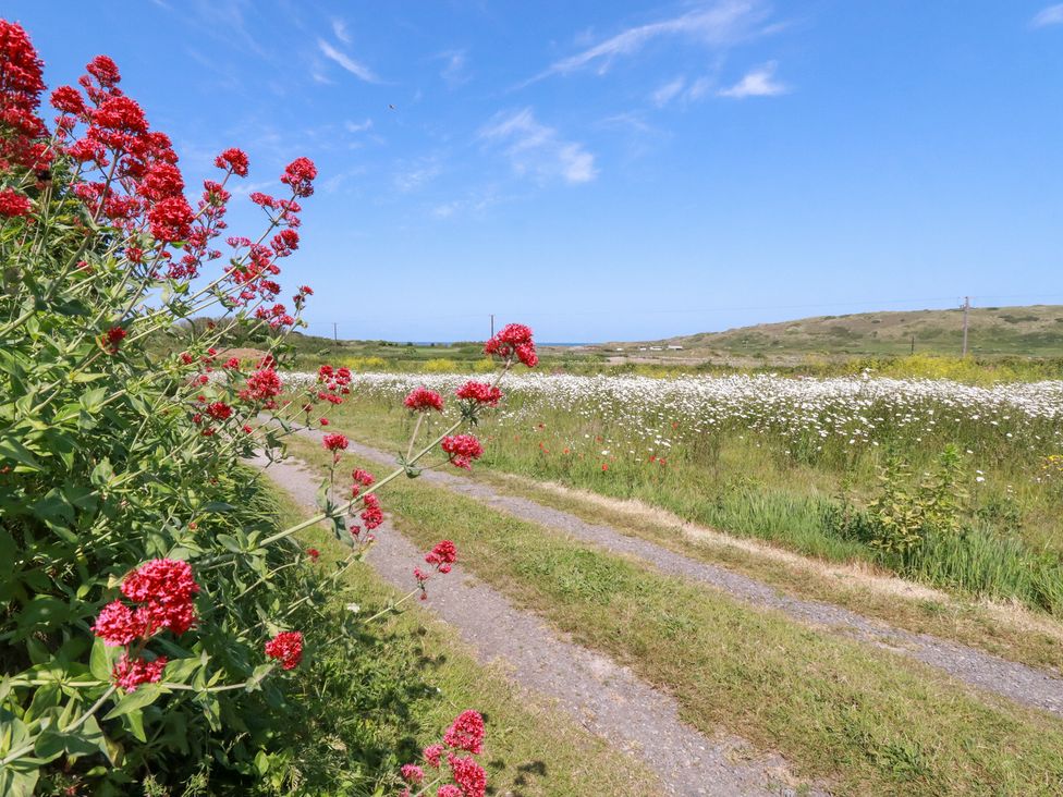A pathway alongside flowers in a field at Bramble Cottage in Gwithian near Connor Downs