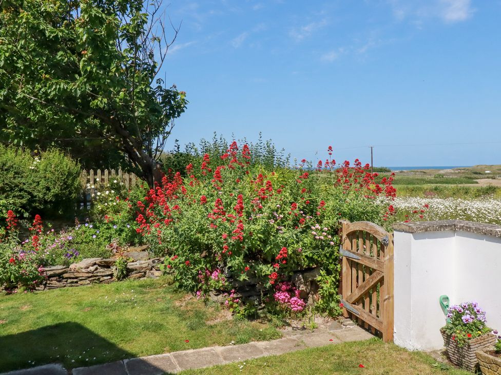 A garden with a wooden gate and various flowers at Bramble Cottage in Gwithian near Connor Downs