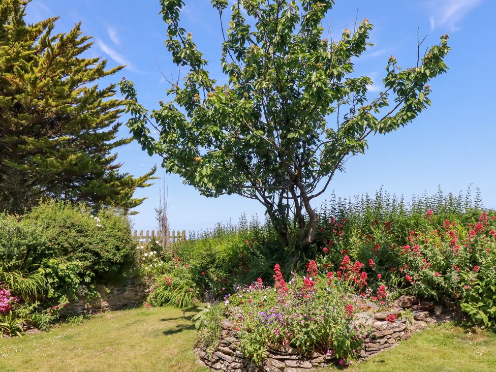 A garden with a tree and flower beds at Bramble Cottage in Gwithian near Connor Downs