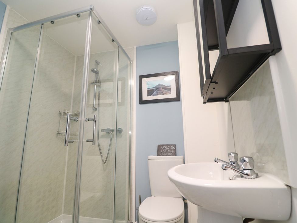 A bathroom with a shower, toilet, and sink at The Packing House in Rosudgeon