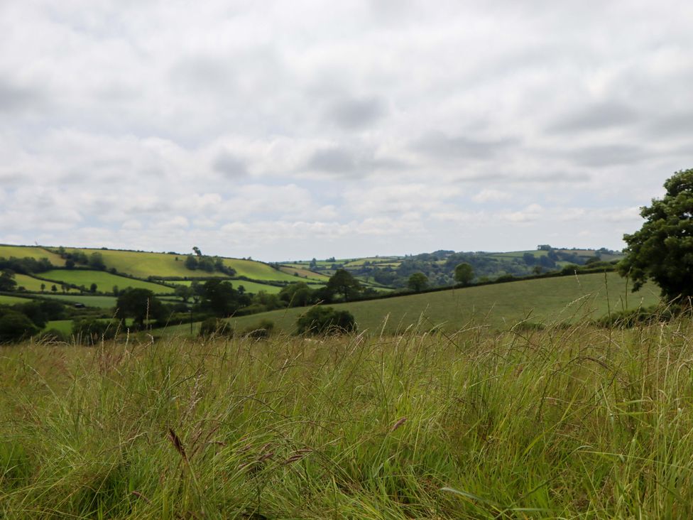 A landscape view with green hills and grass at Under Oak Pod in Totnes