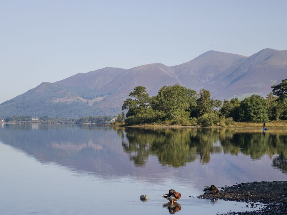 A lake with ducks on the shore and mountains in the background at Sunnycroft in Keswick