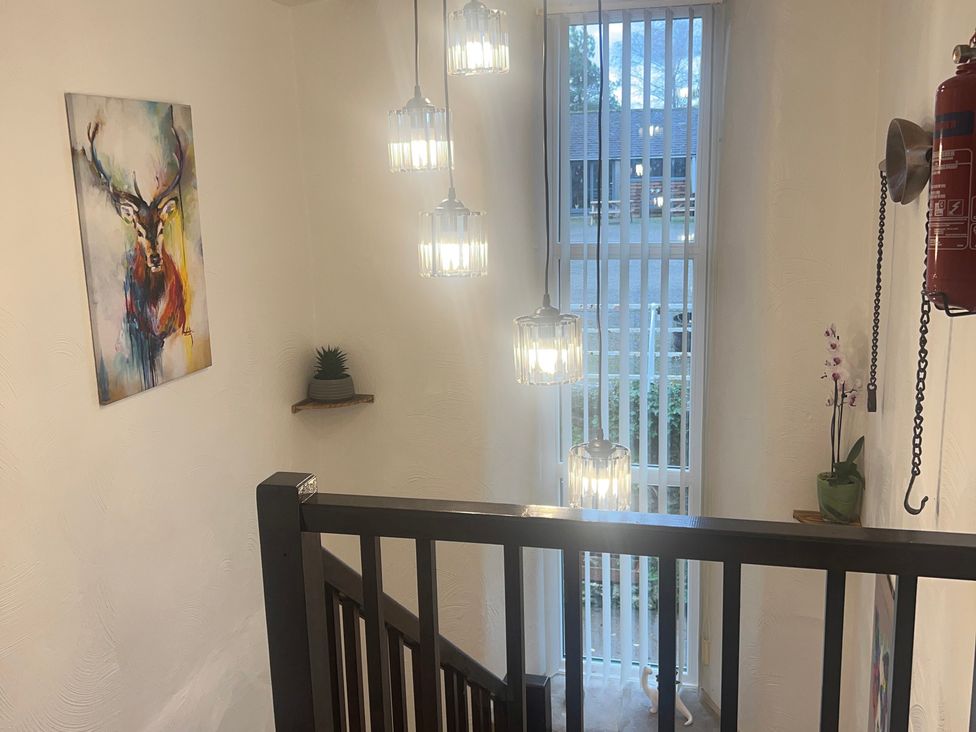 A staircase with hanging lights and a plant at The Old Farmhouse at Brackenthwaite Farm Yealand Redmayne near Arnside