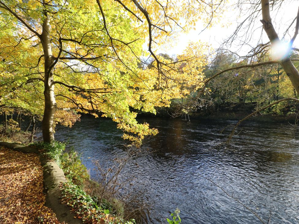 Ivy Cottage - Yorkshire Dales - 1166505 - thumbnail photo 34