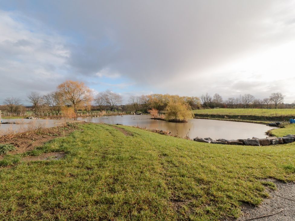 A pond with grass and trees along the edge at Lodge 5 Stockton-on-Tees