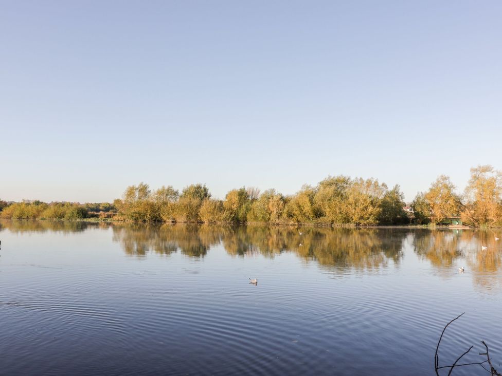 A scenic view of water and trees at Isfryn in Nercwys