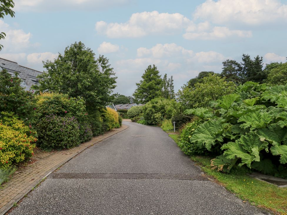 A residential street lined with bushes and trees at 2 Court Cottage in Dartmouth